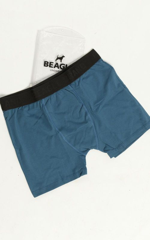 Cueca boxer lisa masculino - CANAL