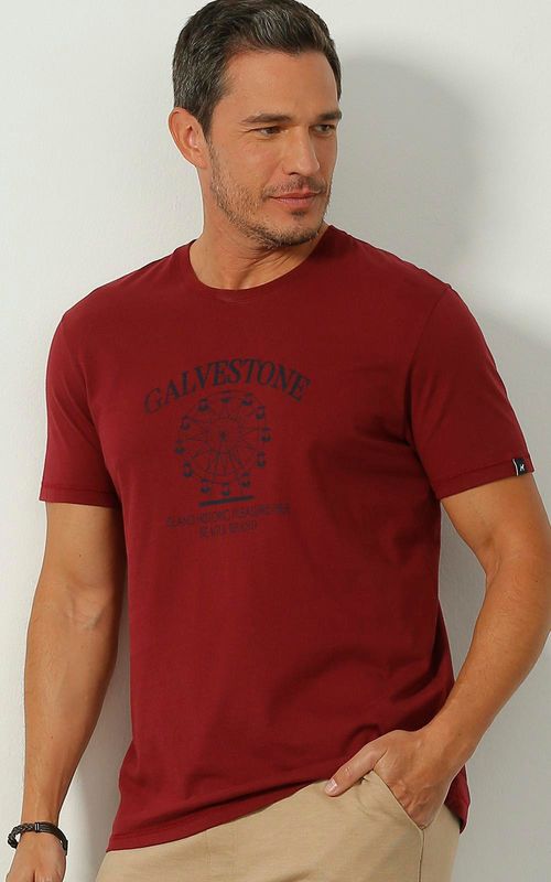 Camiseta Estampada - DALLAS