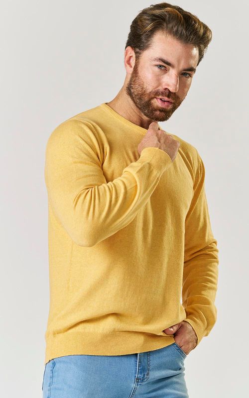 TRICOT MASCULINO. - RAIO